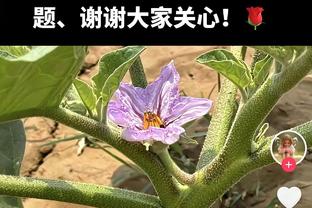 手感无敌！玉山斯诺克世界公开赛：丁俊晖力克墨菲晋级8强